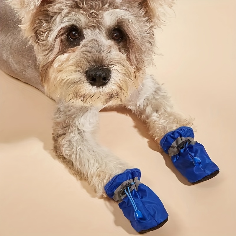 4pzas Zapatos Mascotas, Calcetines Cachorro Diseño Delfín, Botas Lluvia,  Diseño Impermeable, Silicona, Suministro Perros - Mascotas - Temu Chile
