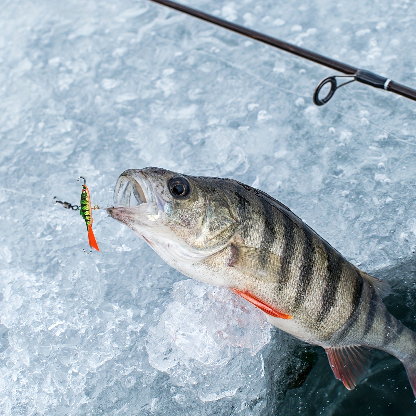 Luminous Ice Fishing Jigs Tungsten Crappie Jigs 3d - Temu