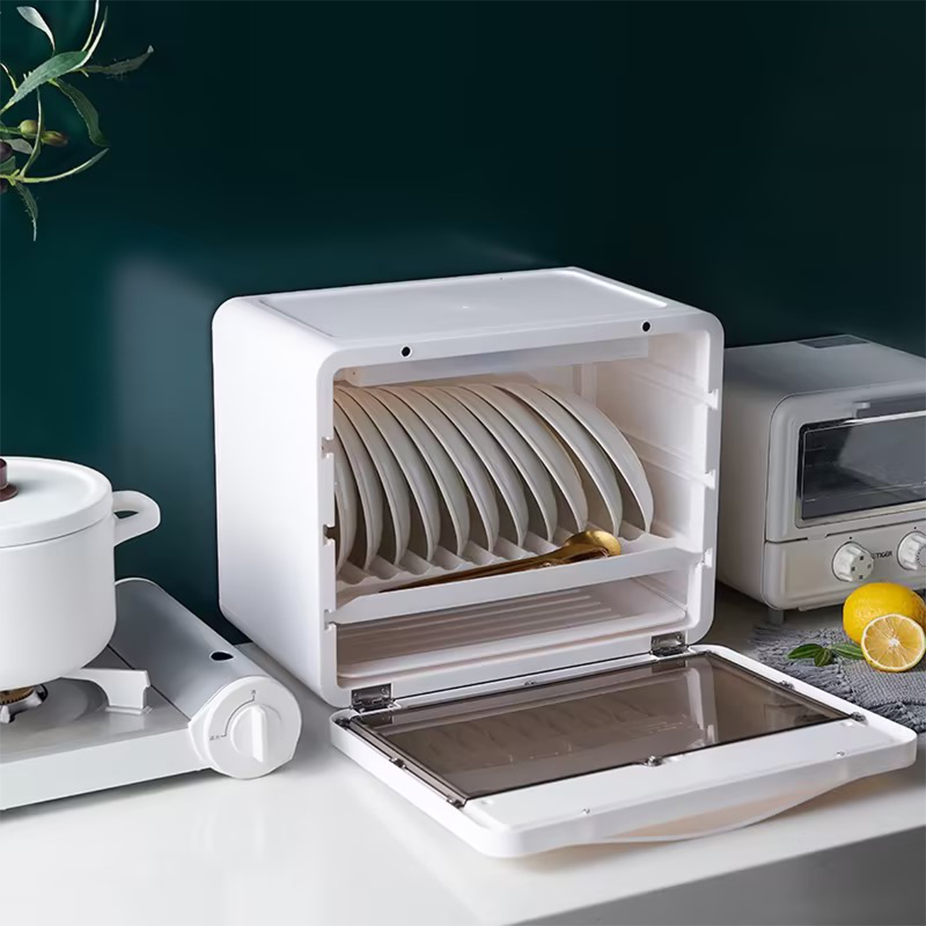 Kitchen Dish Rack with Cover Dust-proof insect-proof Dish drain