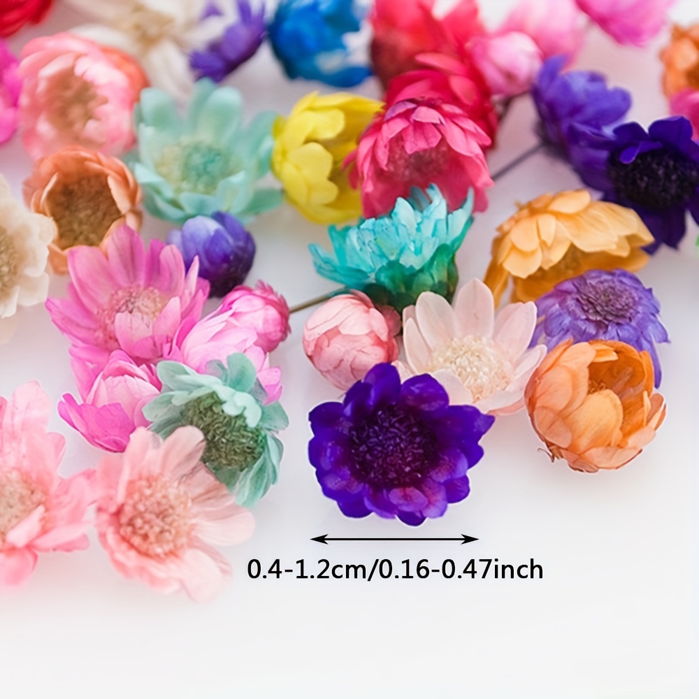 Small Dried Flowersmix Dry Flowersflowers for Resinfloral 