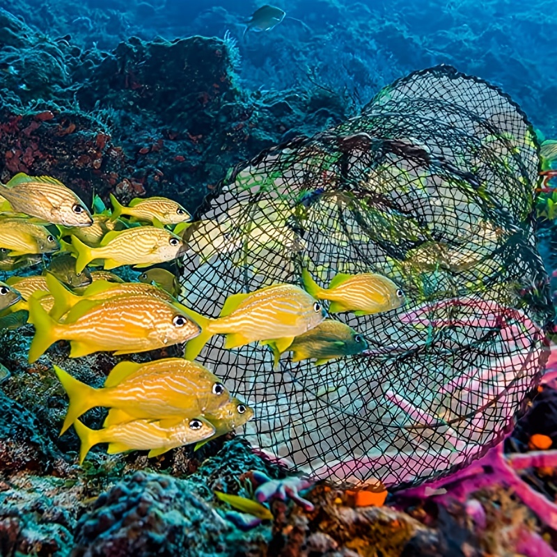 Piège à crabe Appât Flotteurs Homard Écrevisses Crevettes Portable Plié  Filet coulé Pliable Pièges de pêche Filets de pêche Ac