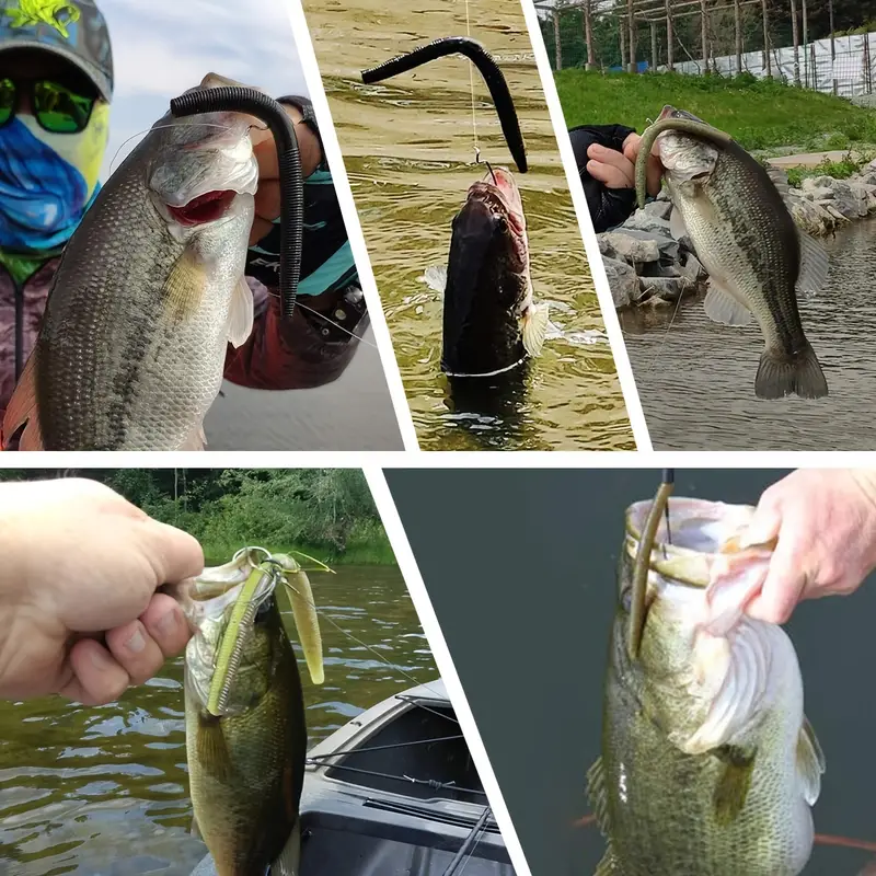 Senko Worms Trout Bass Fishing Lure Kits 5 Colors Portable - Temu Canada