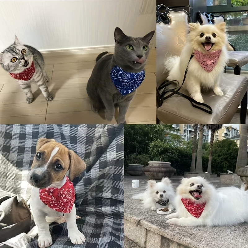 1pc stylish printed dog bandanas with   keep your   and fashionable dog costume chrismas dog bandanas   floral print pet bandana for small dogs cats under   Product details 6