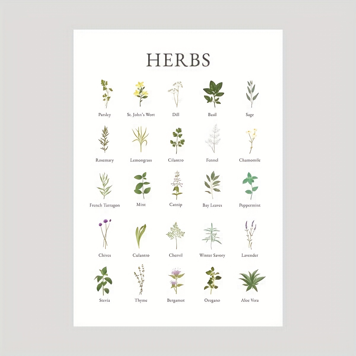 Vintage Botanical Poster, Herb Wall Art Prints, Herb Poster, Kitchen ...