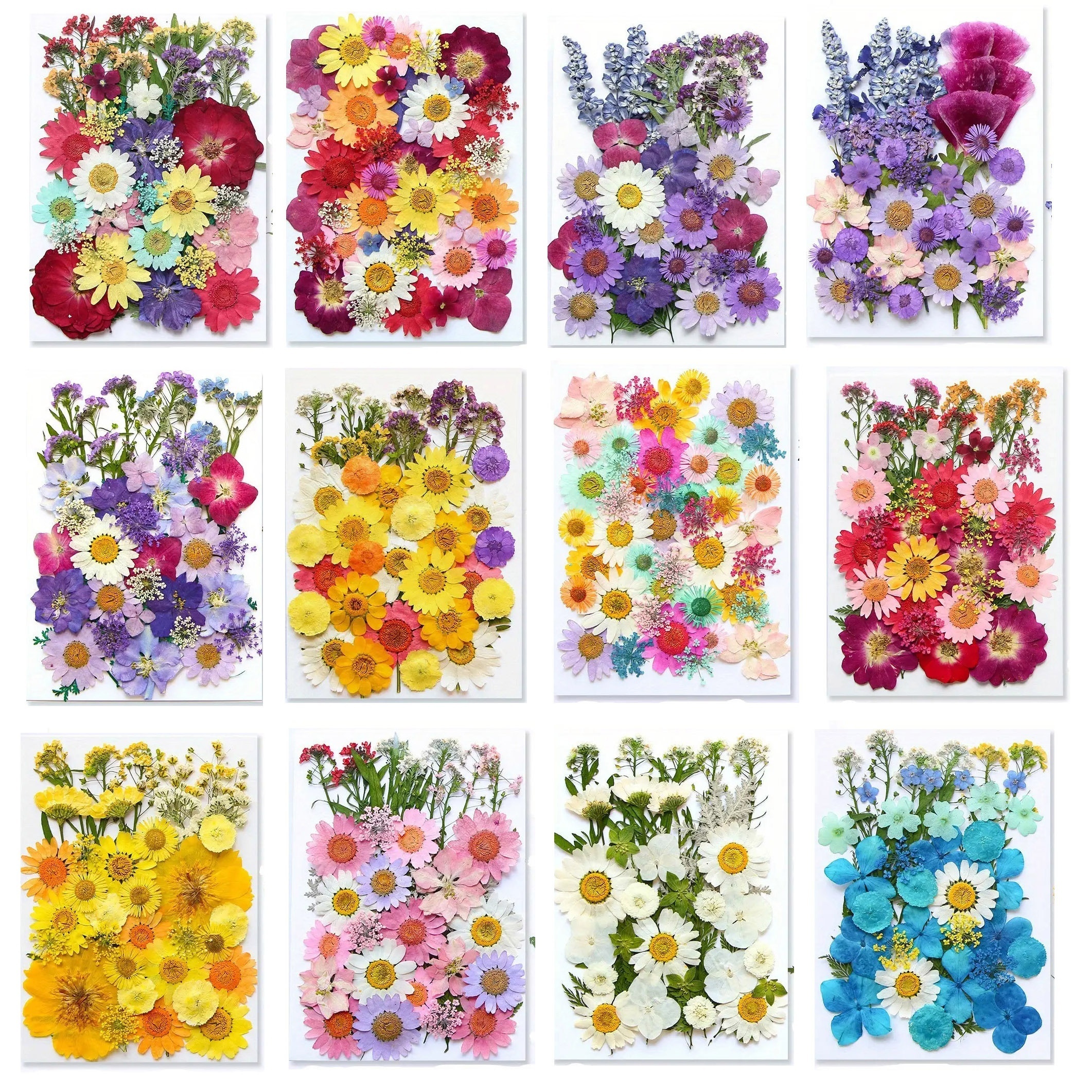 eBoot 72 Pcs Dried Pressed Flowers for Resin Molds Real Pressed Flowers Dry  Leaves Bulk Natural Herbs Kit for Scrapbooking DIY Art Crafts Jewelry