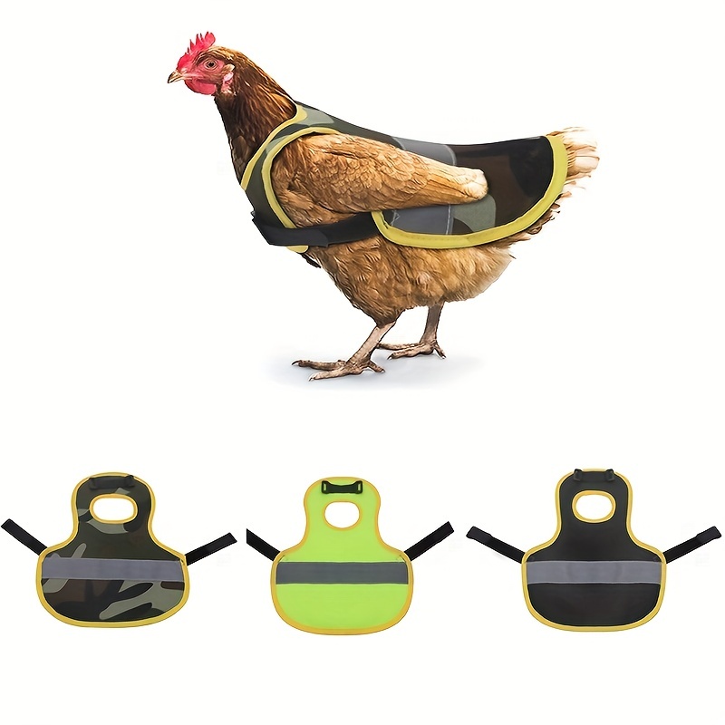 Chicken on sale reflective vest