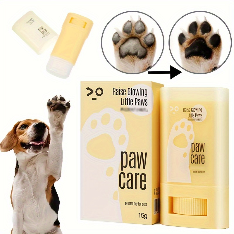 Paw protection 2024 from heat