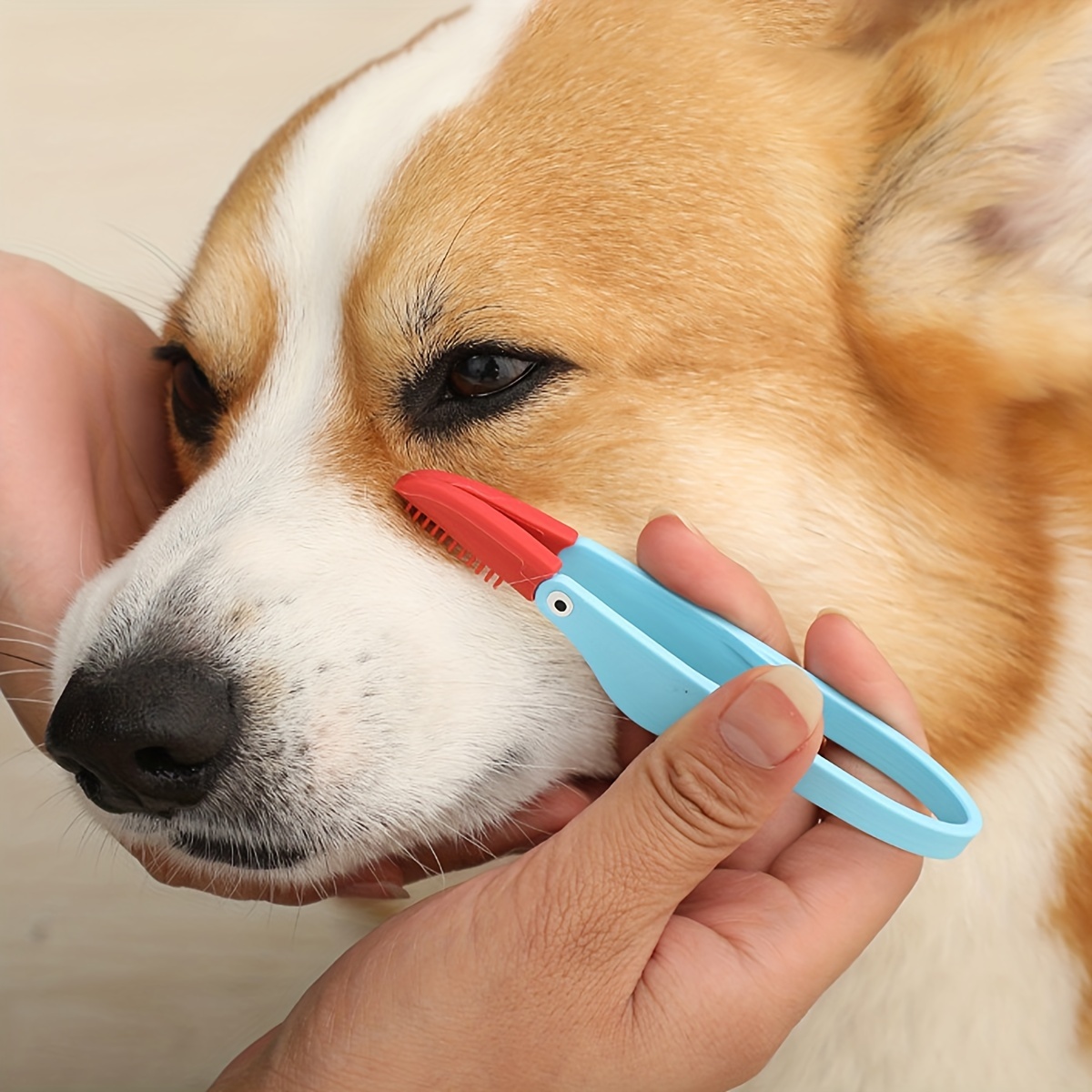 Dog ear cleaning clearance tool