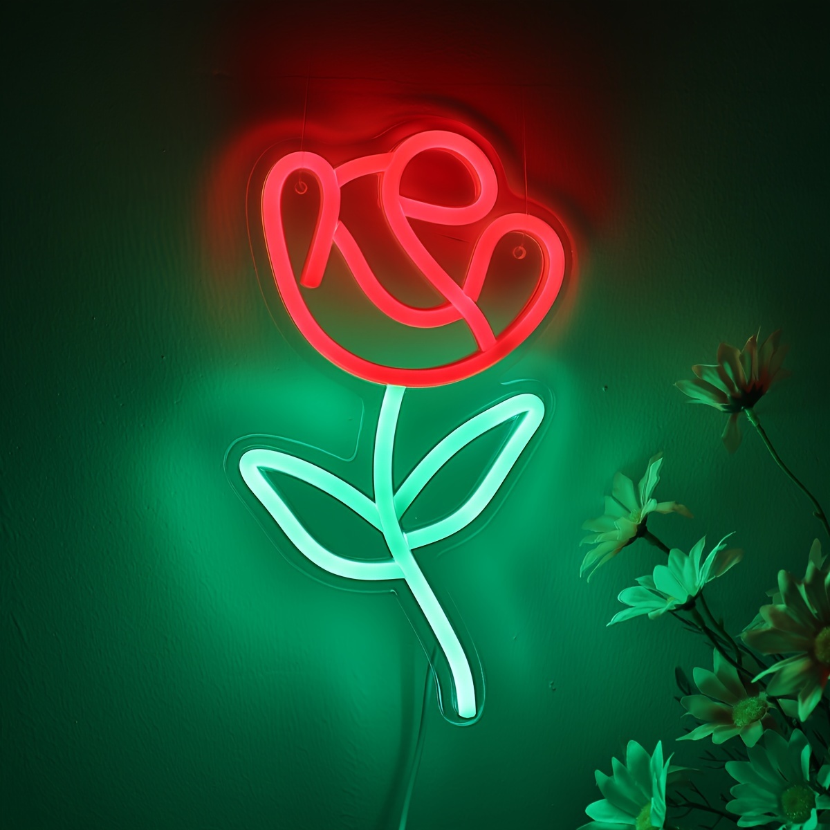 Neon Rose -  Canada