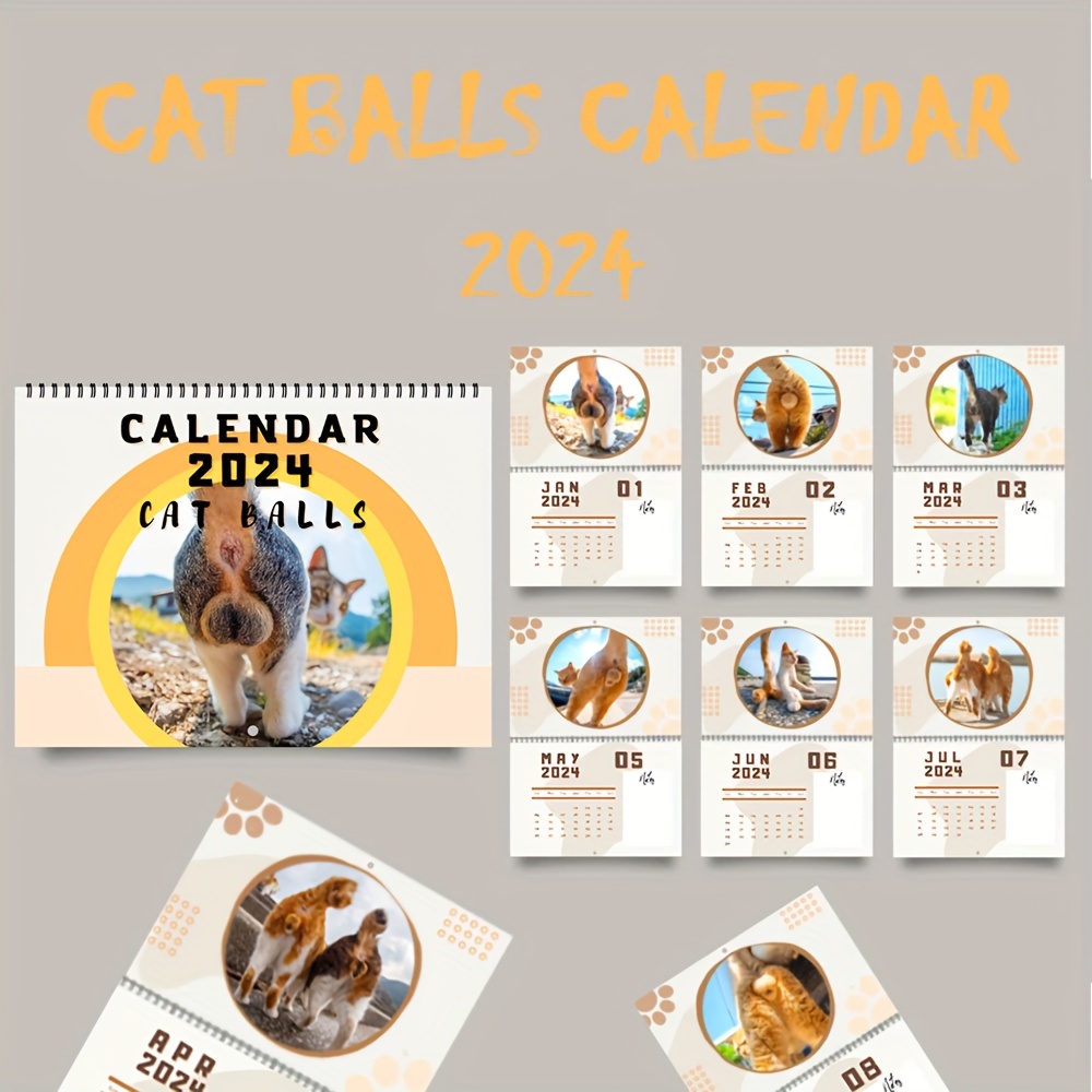 Calendrier 2024 Cat Balls, calendrier chat 12 mois à suspendre 2024 drôle,  calendrier mural 2024 mois à visualiser, calendrier mural mensuel 2024 avec