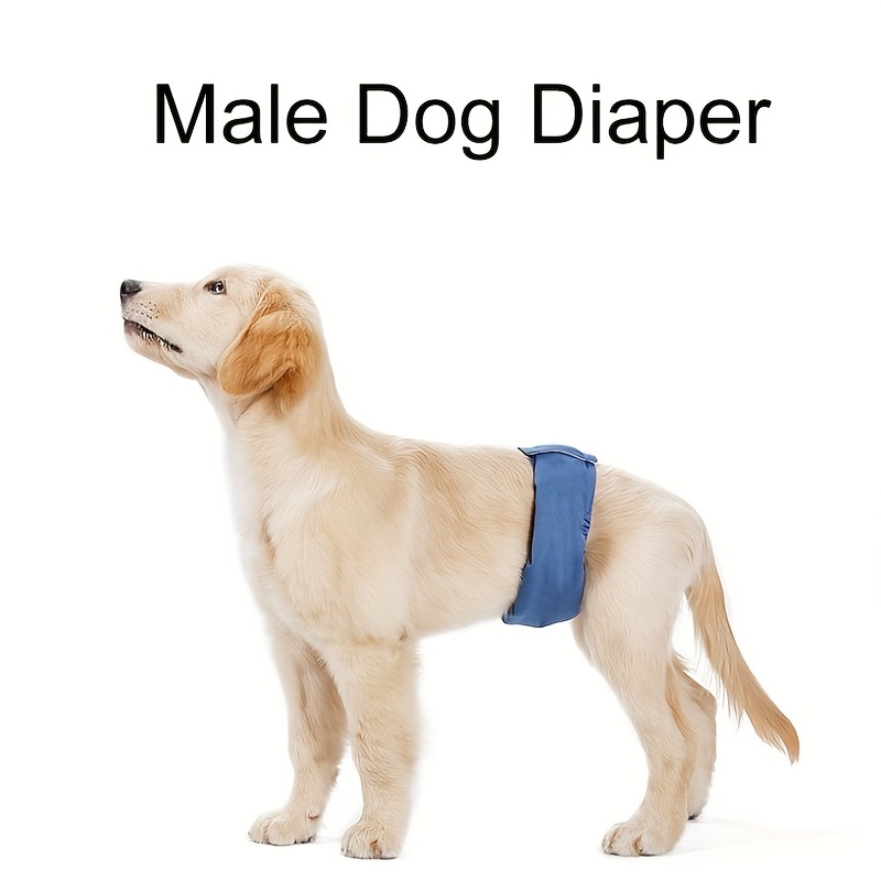 Boy store dog diapers