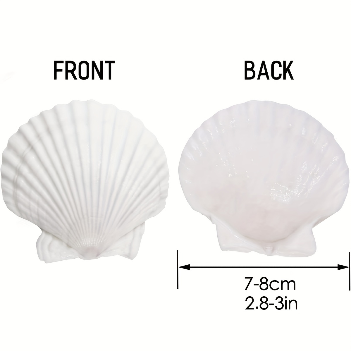 QICQDRAM 16PCS Shells for Crafts 2.7''-3.5'' White Scallop Shells, for  Baking Shells, Crafts DIY Painting Beaching Wedding Decoration, Beach  Natural