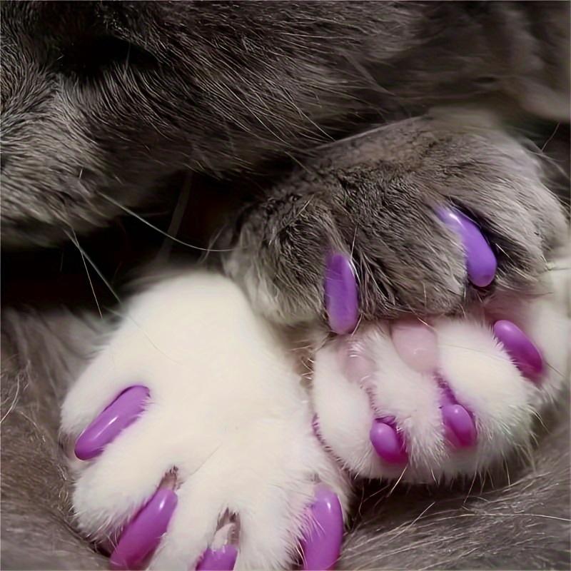 Cat Nail Cat Claw Covers With Glue And Applicators - Temu