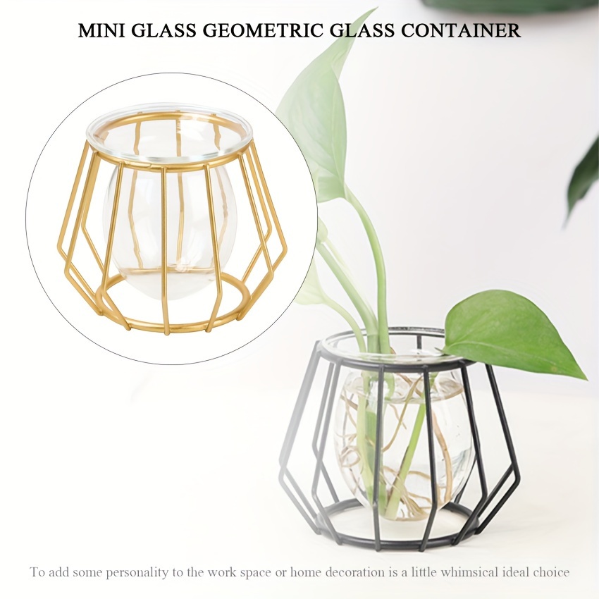 Plant Terrarium Display Glass Tabletop Succulent Air Plant - Temu