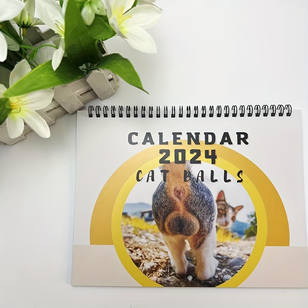 Calendrier 2024 Cat Balls, calendrier chat 12 mois à suspendre 2024 drôle,  calendrier mural 2024 mois à visualiser, calendrier mural mensuel 2024 avec