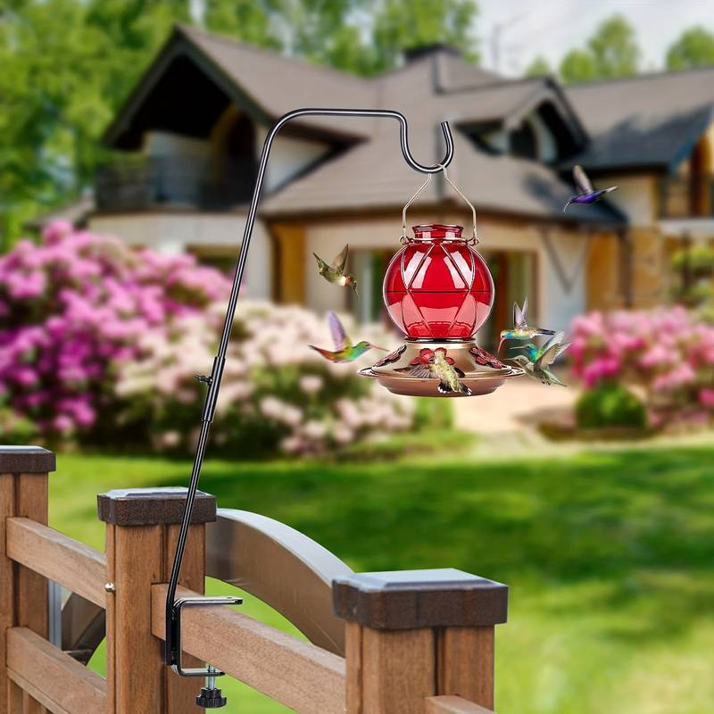 How to Hang Hummingbird Feeder on Balcony: Easy Tips & Tricks