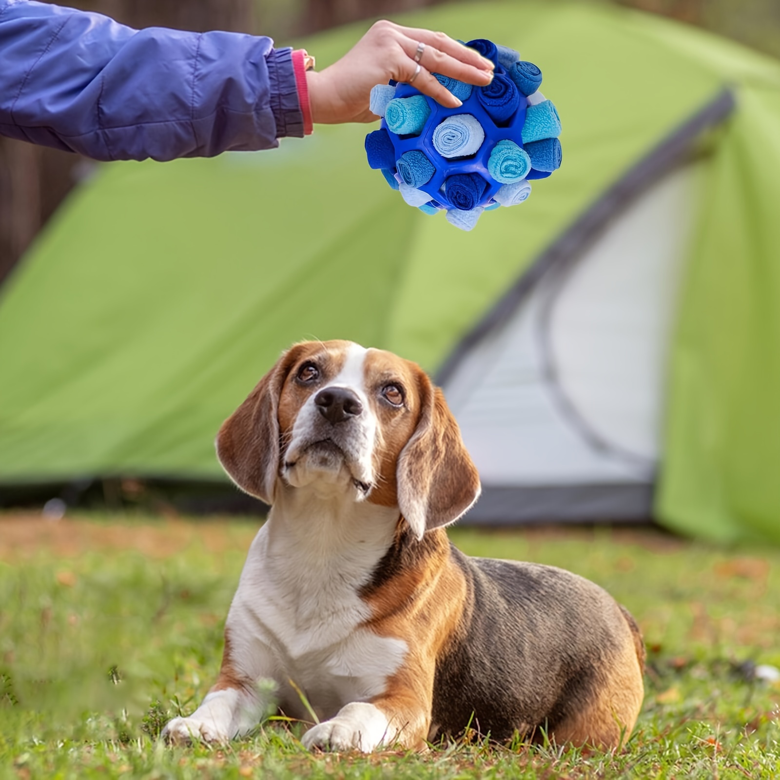 Interactive Sniffing Ball for Dogs Hide & Seek Play