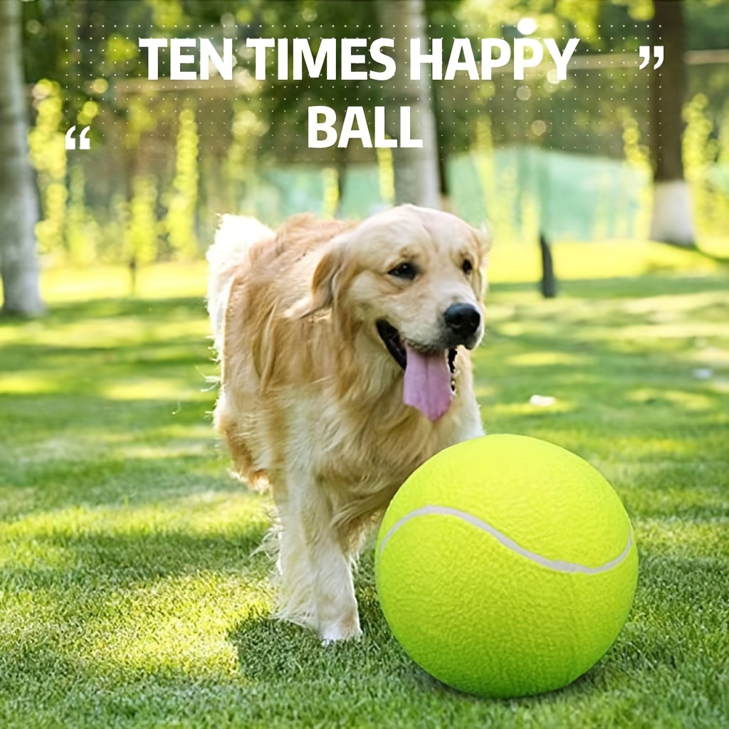 Balle de tennis jouet chien