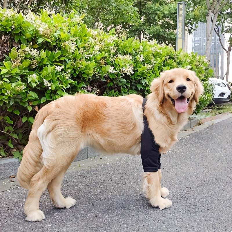 Lindo Gráfico Pata Mascota Cercado Cercado Perros Sin Golpes - Temu