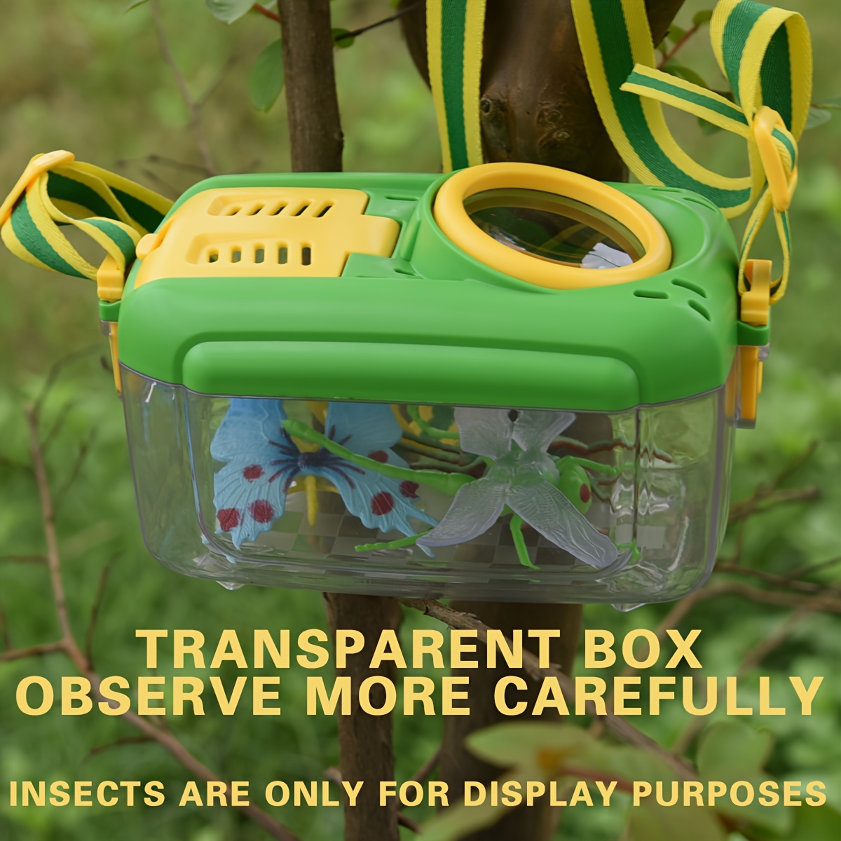 Attrape-insectes Portable, loupe d'observation Portable, boîte