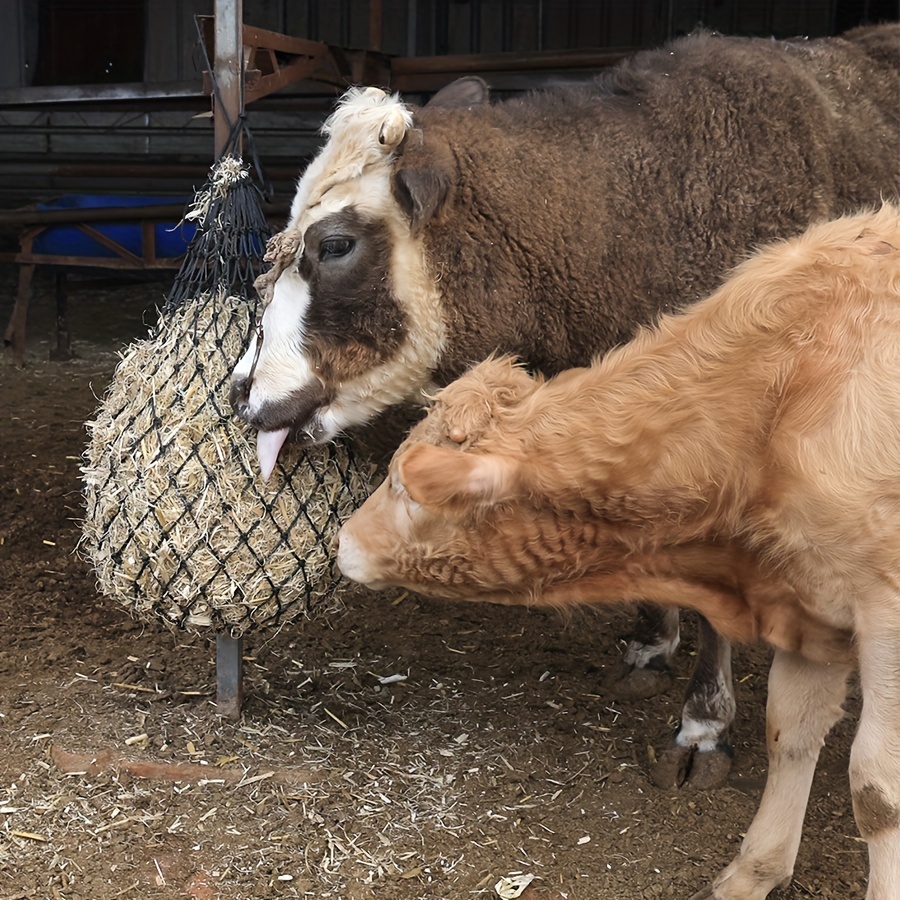 Filet à Foin pour Chevaux 5x5 cm Filet à d'alimentation pour Cheveux Sac à  Foin avec Mailles pour Poneys Chevaux Chèvres Mouton : : Animalerie