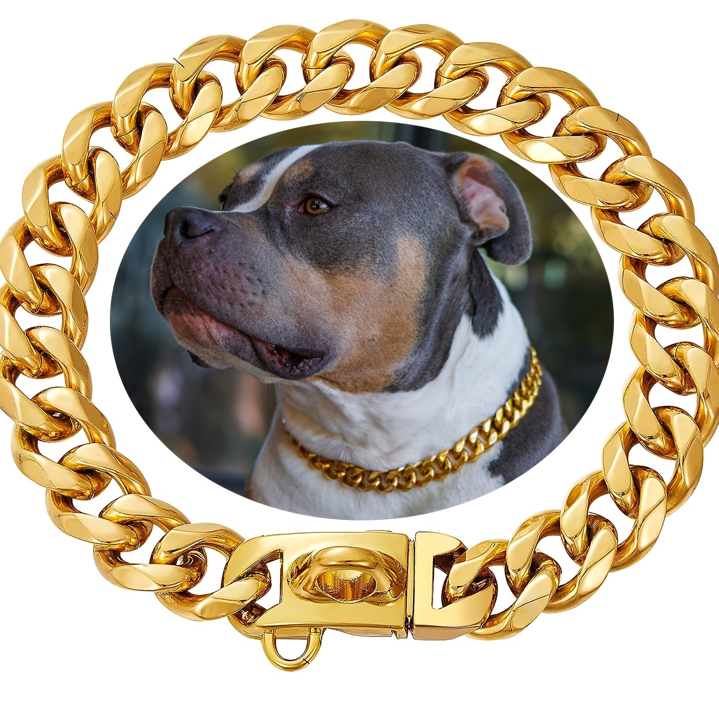 Cool Dog Collars - Temu