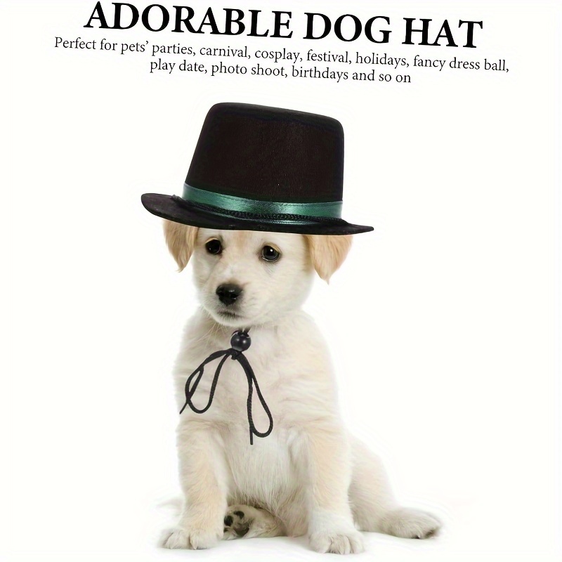 Top dog clearance hat