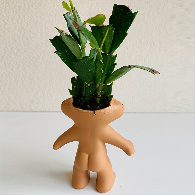 Kitsch, minimalista o retro fichamos los maceteros perfectos para  nuestras plantas de interior