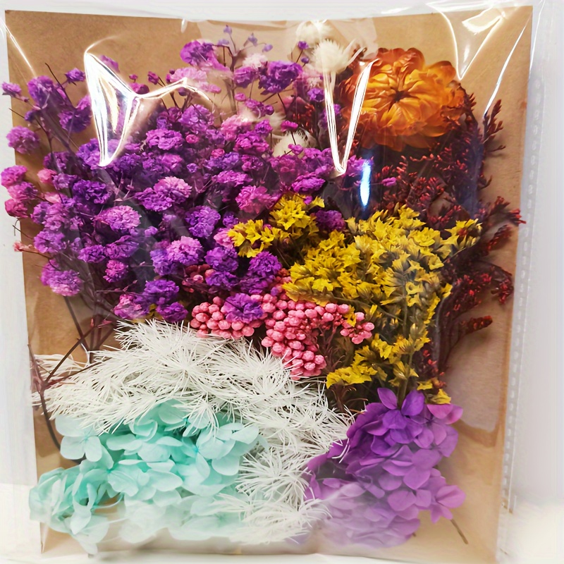 10 Unidades/paquete Flores Secas Prensadas Hojas Naturales - Temu