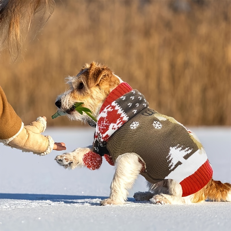 Dog 2024 hair scarf