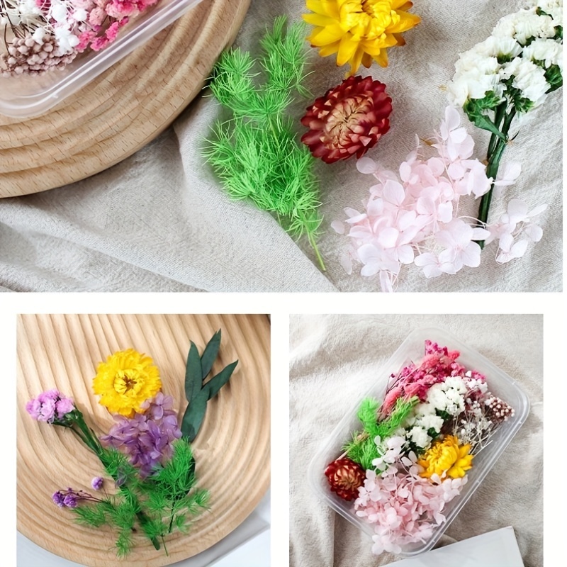 6 cajas de flores secas para decoración de uñas, Audab 190 piezas de flores  secas para uñas, mini flores de resina para decoración de resina para  decoración de uñas : Precio Guatemala
