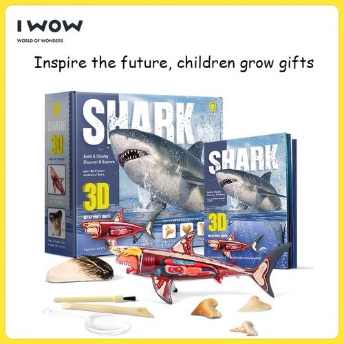 3D Shark Anatomy, Assembled Toys For Children, Archaeological Digs, Crafts