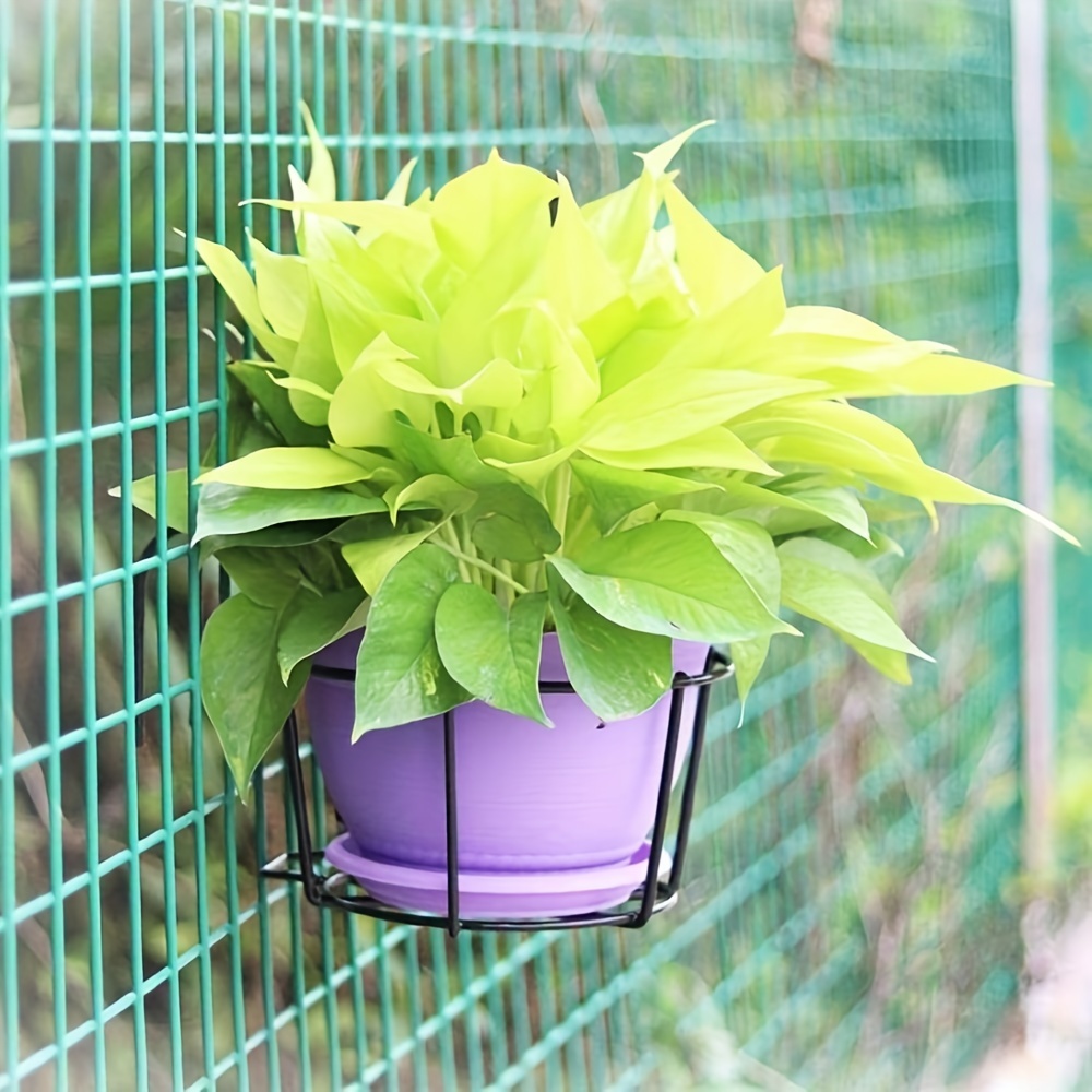 TENMEDARY Pot de fleurs, à suspendre, en métal, convient à l'extérieur et  l'intérieur, à la terrasse et au balcon, pour plantes succulentes,  aériennes et d'intérieur, rond et noir : : Jardin