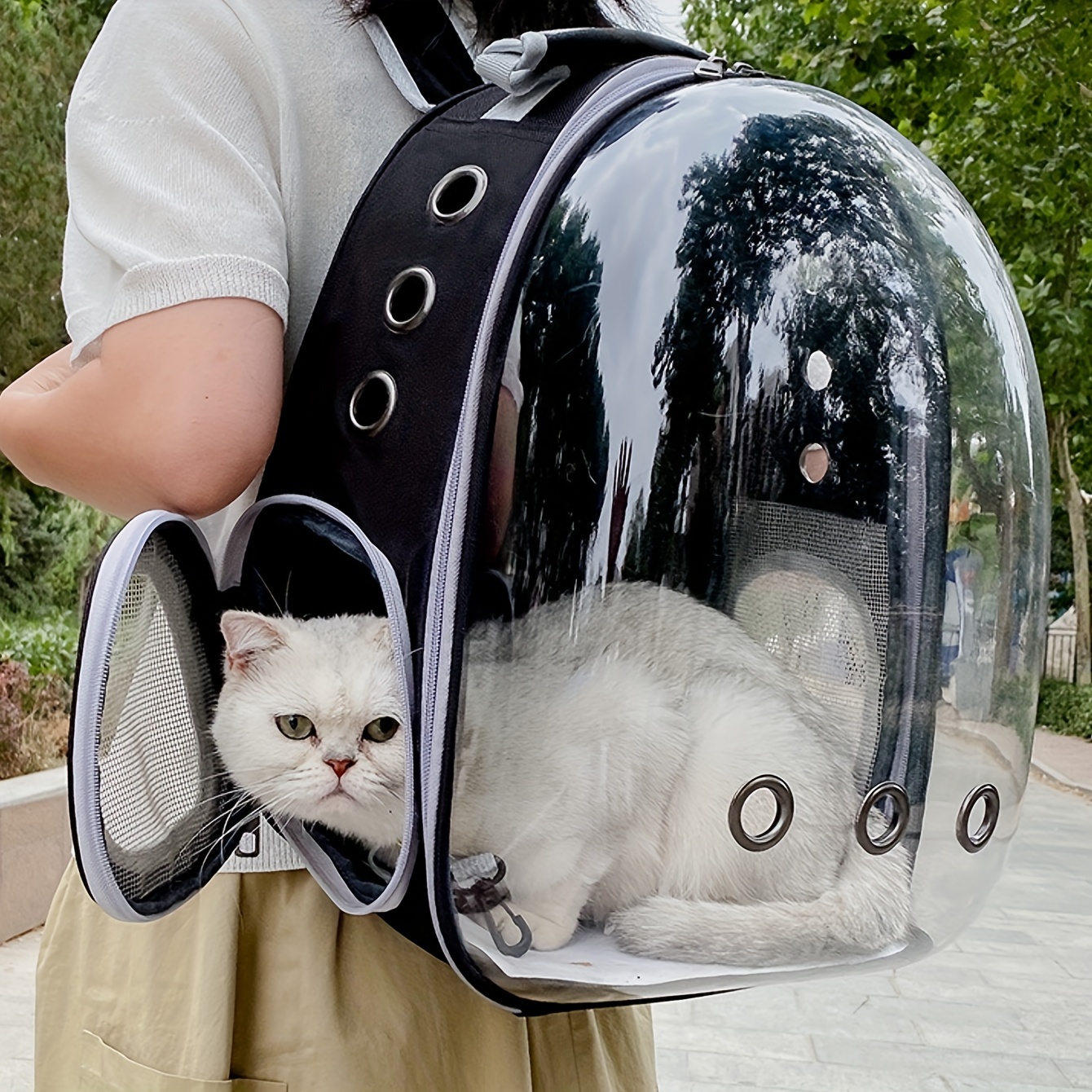 Bolso para 2025 trasladar gatos