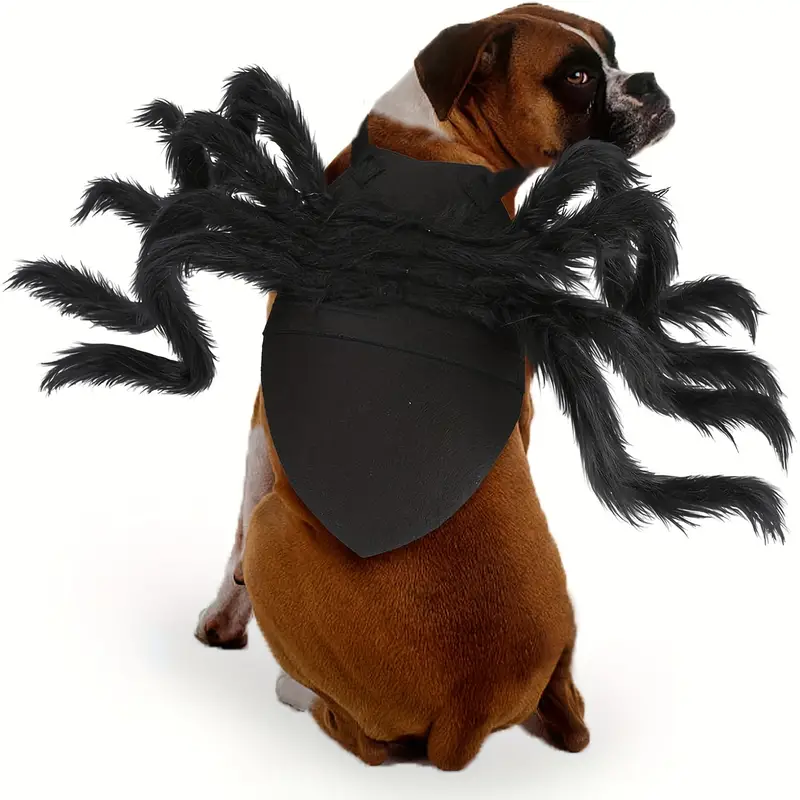 spider dress halloween