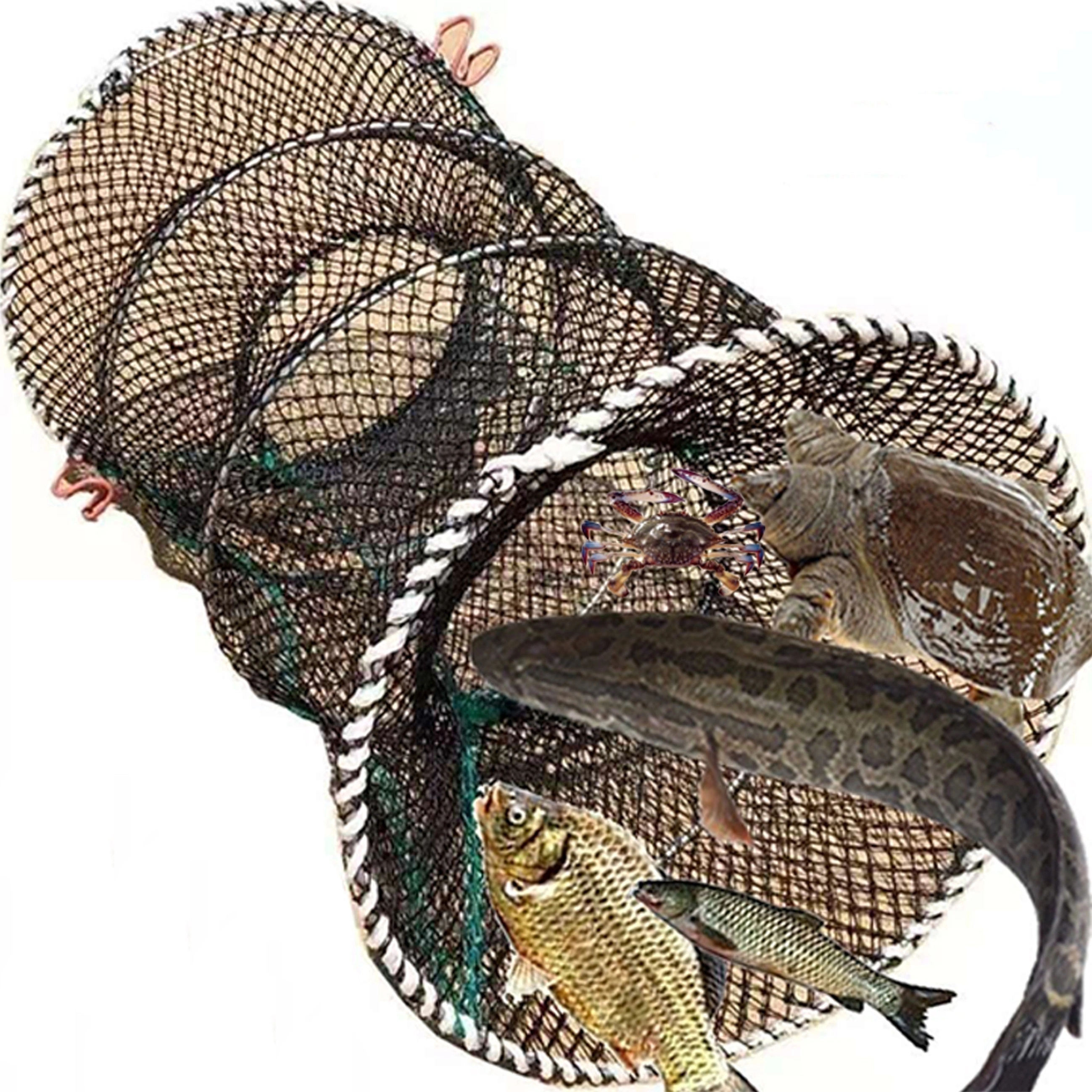 Durable Folding Crab Cage Reusable Spring Fishing Trap Net - Temu Canada