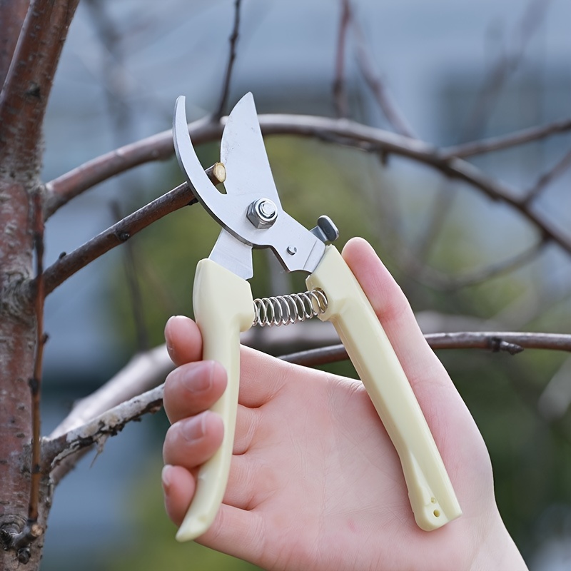 Garden Pruning Shears Branch Scissors Stainless Steel Fruit - Temu