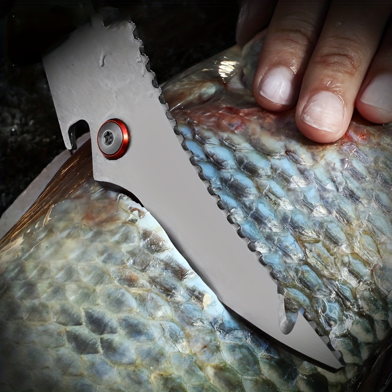 Éplucheur de crevettes en acier inoxydable, couteau de pêche à épluchage  rapide, dissolvant de coquille de homard Argent -DRFT1104 - Cdiscount Sport