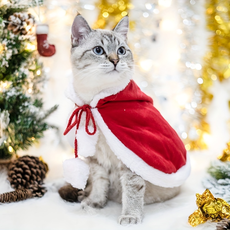 Cat christmas best sale outfits uk