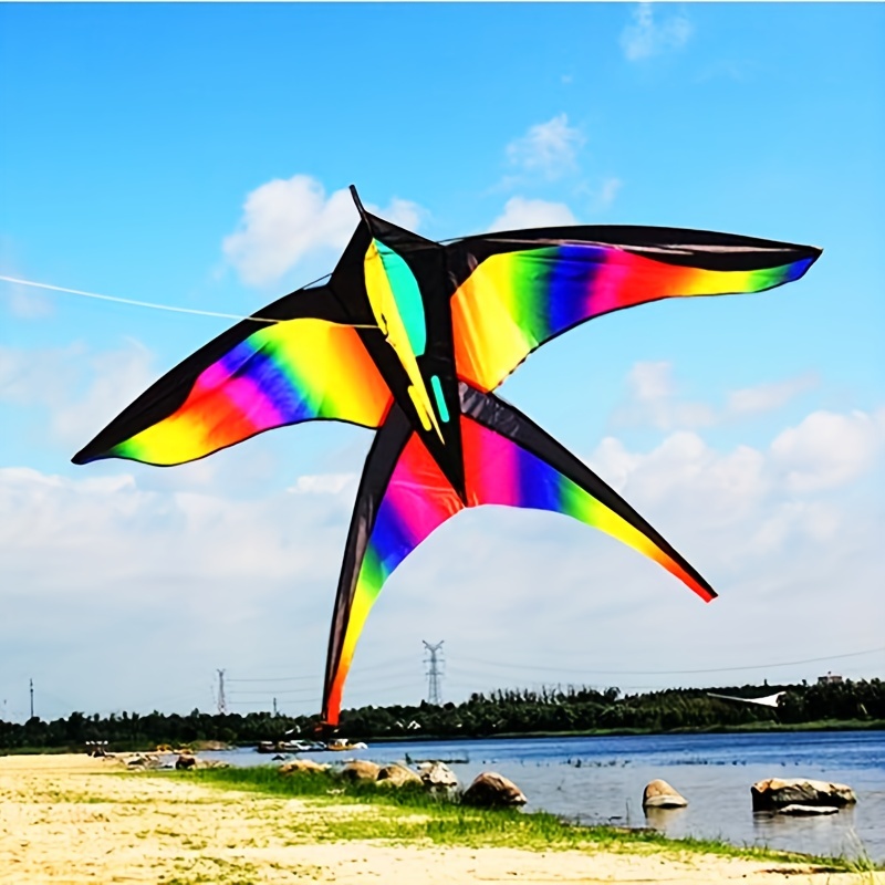 Large Fu Fish Swallow Kite With Handle Line Suitable For Beach, Park, Yard,  Creative Kite For Outdoor Entertainment - Temu Sweden