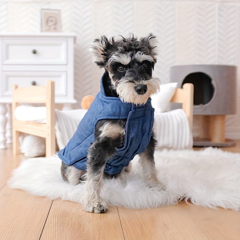 Dog sweaters store for miniature schnauzers