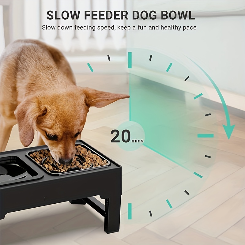 2-in-1 Elevated Dog Bowls, 4 Heights Adjustable Raised Dog Food Bowl Water  Bowl For Pet Feeding Supply - Temu