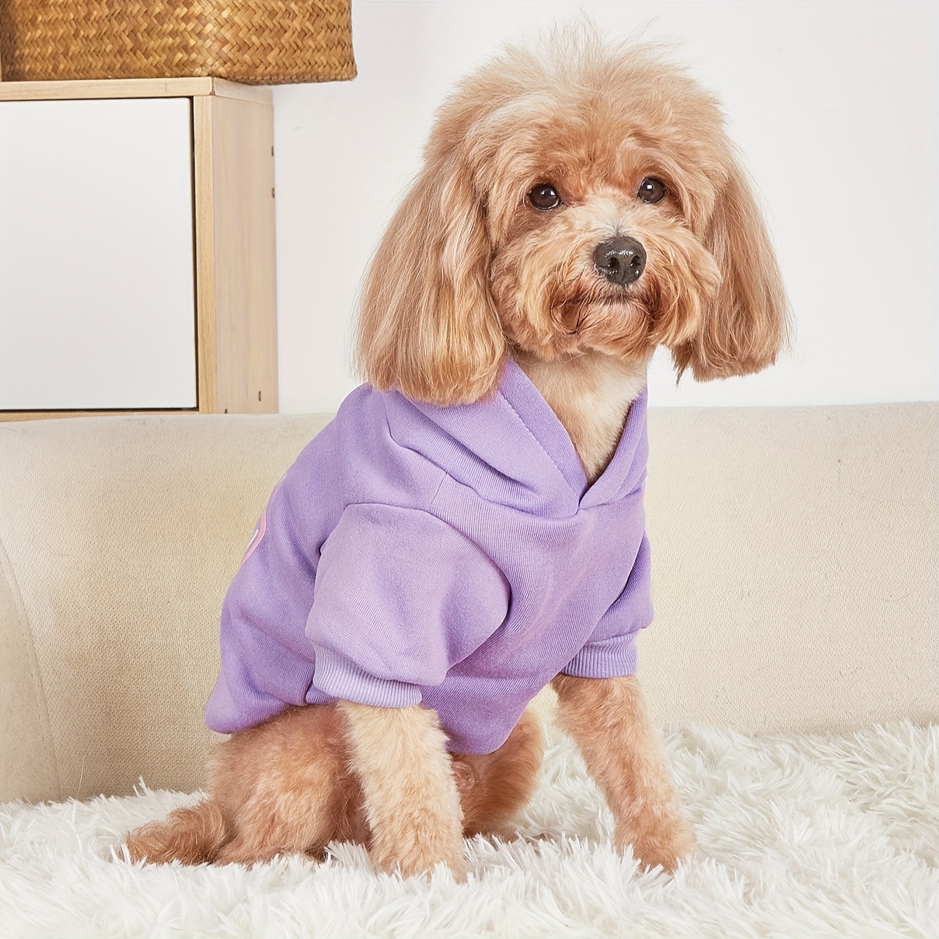 1pc cute bear with bow letter print pet hoodie purple thickened warm anti shedding pet clothes Product details 2