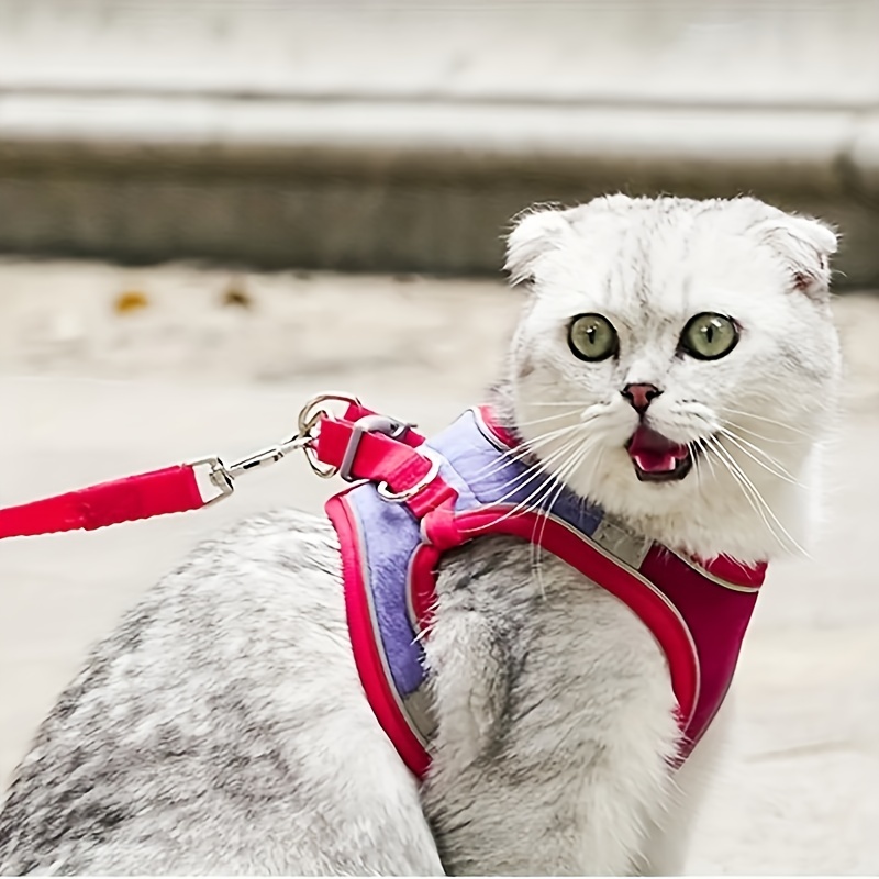 BINGPET Arnés para gato con correa y cuello para caminar, a prueba de  escape, con correa de 59 pulgadas – Arneses de chaleco suave ajustable para  gatos de tamaño mediano grande
