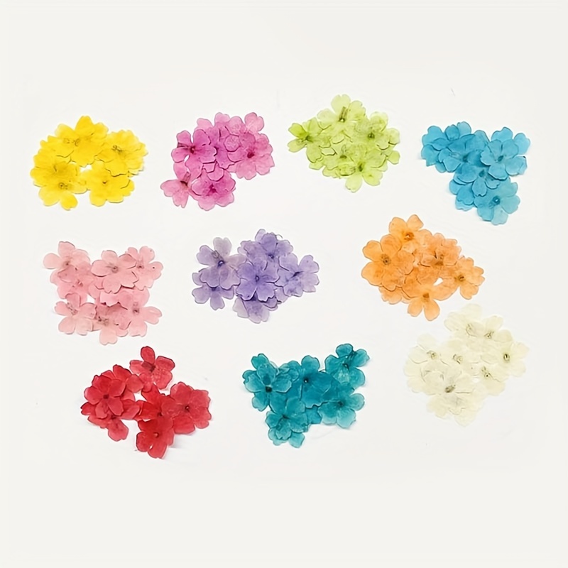 35-42pcs Dried Pressed Flowers For Resin, Real Pressed Flowers Dry