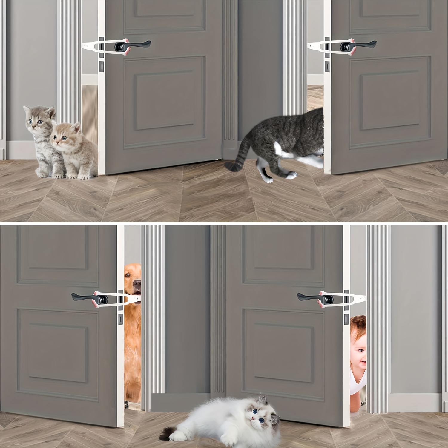 Keep cat away from dog clearance door