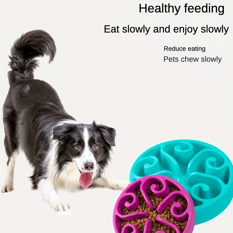 1pcs Slow Feeder Dog Bowl Anti Gulping Healthy Eating Interactive