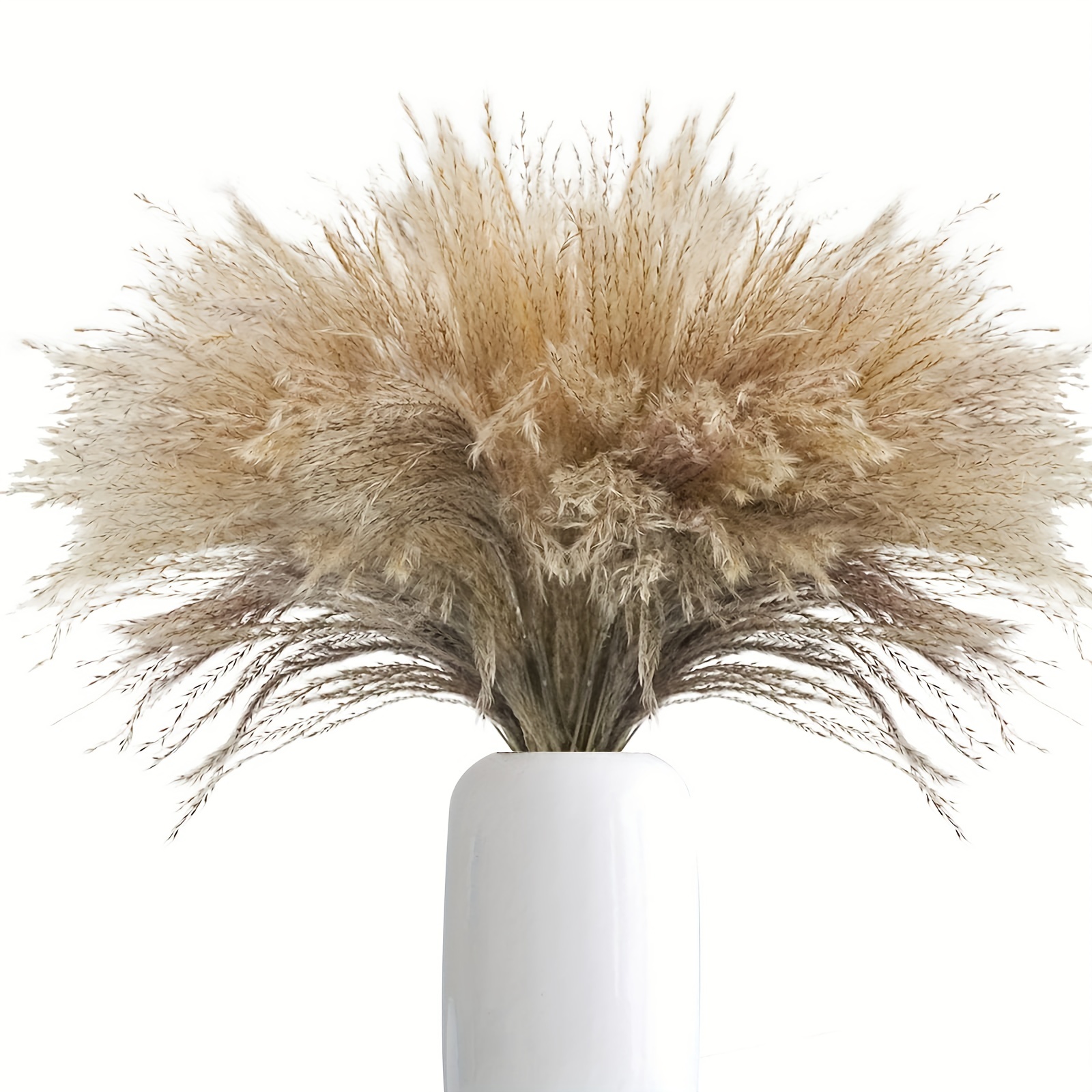 23.6 pulgadas de hierba de las pampas, hierba seca natural de las pampas,  flores secas decorativas, flores secas artificiales, ramo de flores secas