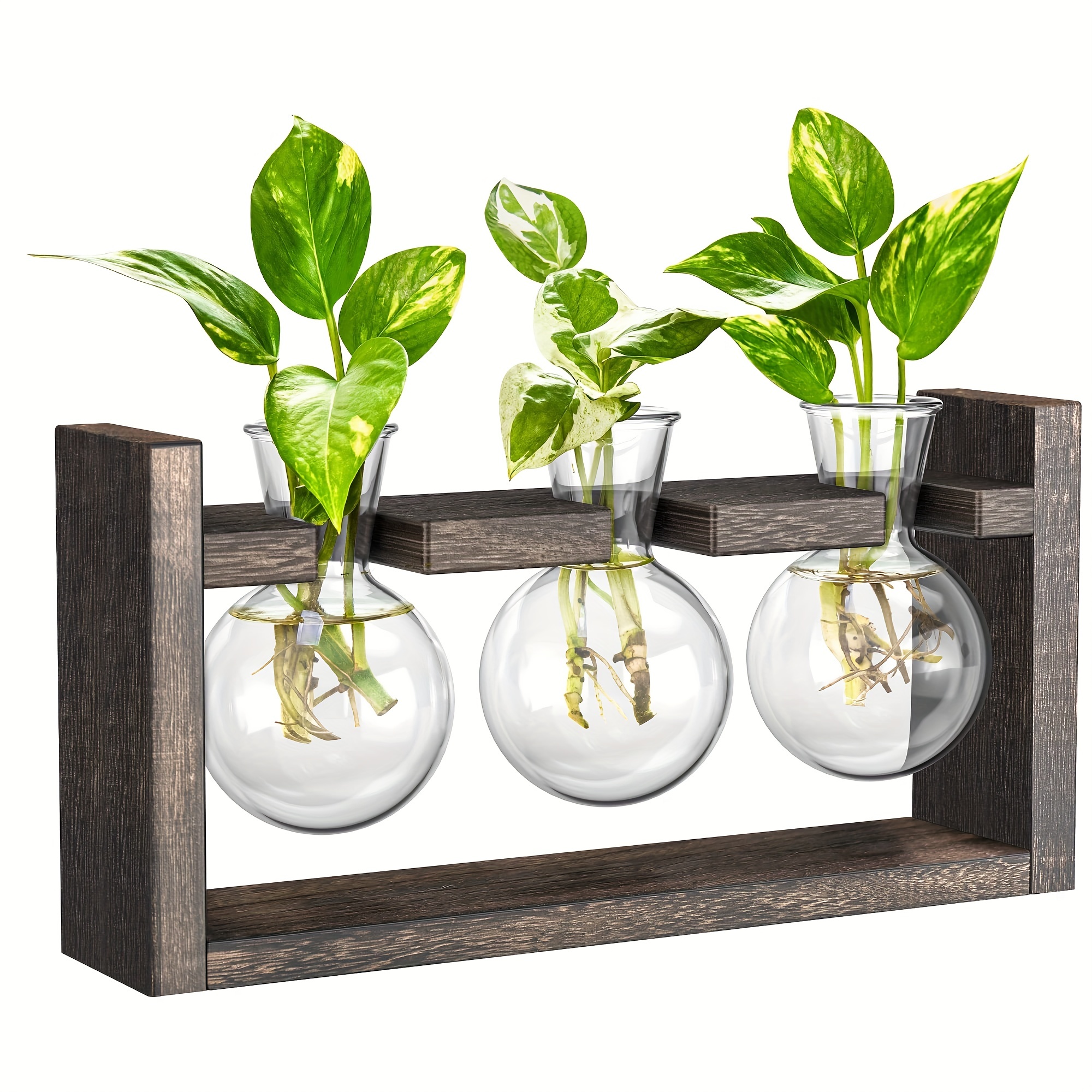 

1pc Plant Terrarium Tabletop Glass Bulb Propagation Station With Wooden Stand For Hydroponics Plants Desktop Home Garden Wedding Decor