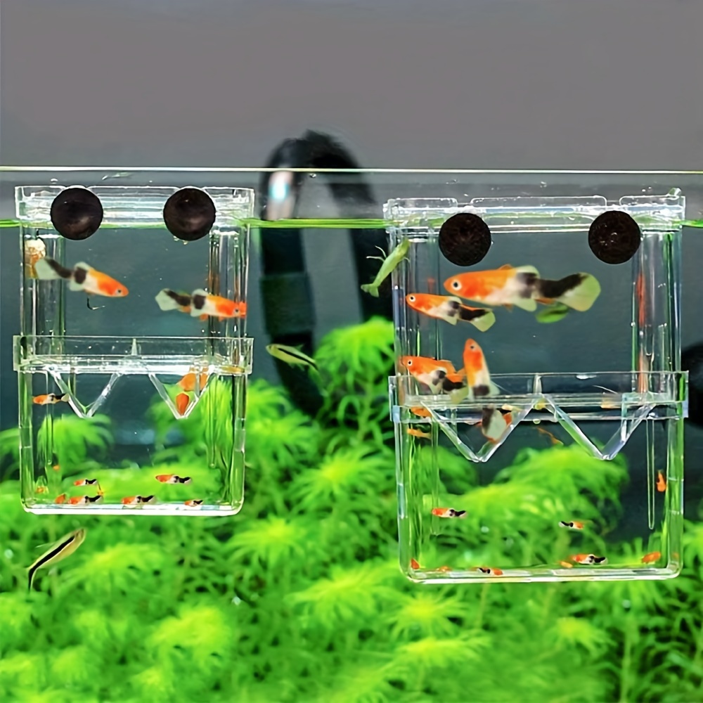 breeder tank